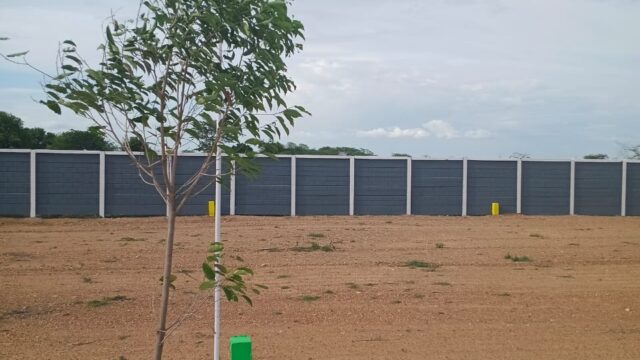 Thai varam-08