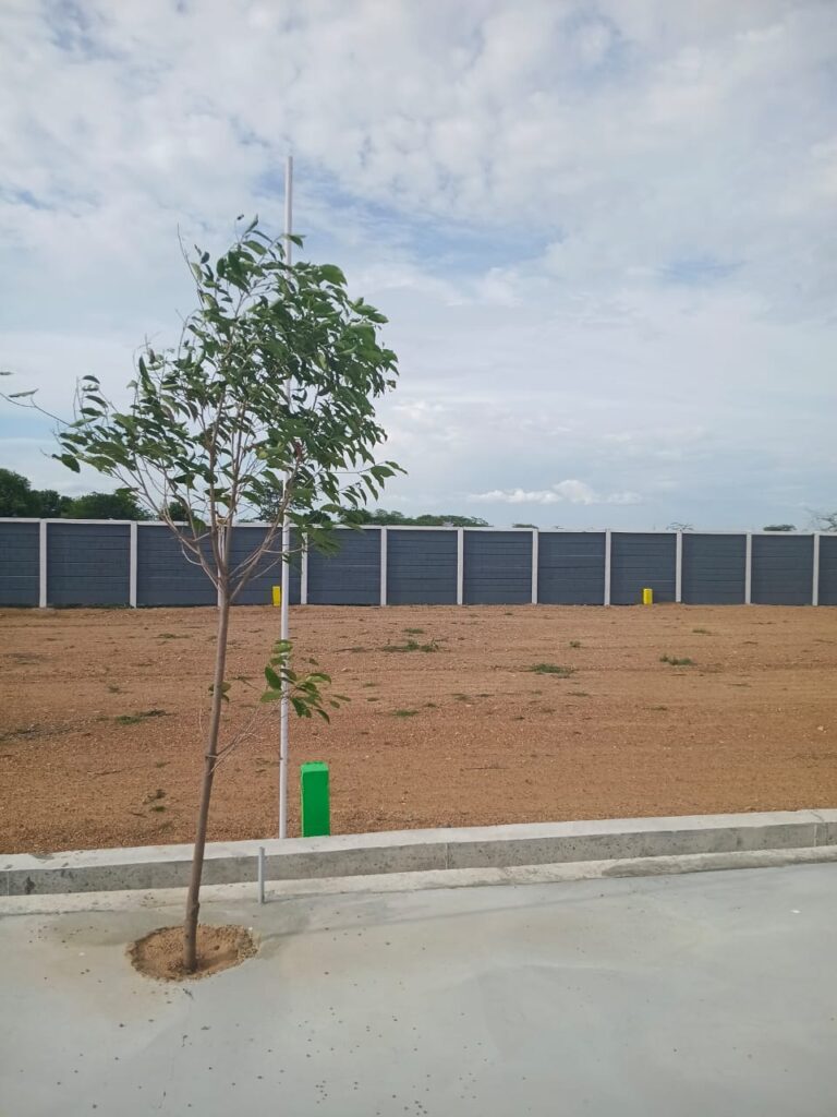 Thai varam-08