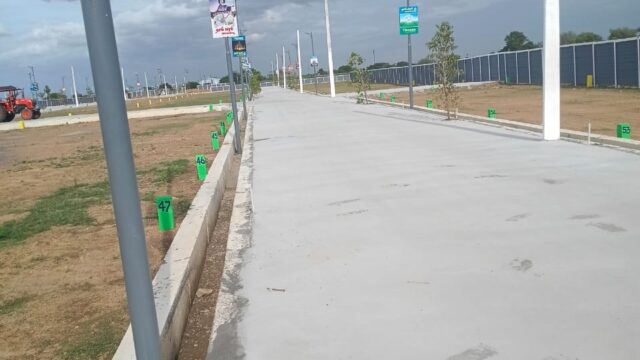 Thai varam-09